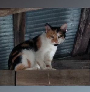 Meet your Posher, Agnes